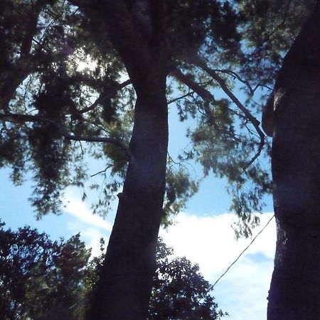 Woodland Hills Calabasas Guesthouses ลอสแอนเจลิส ภายนอก รูปภาพ