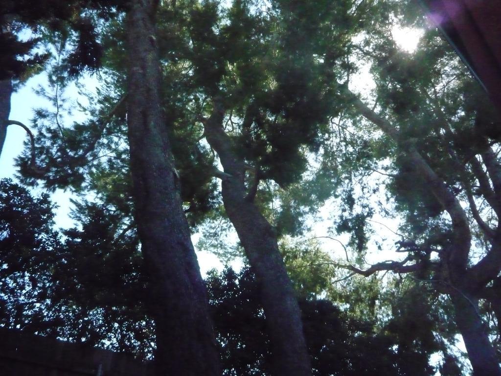 Woodland Hills Calabasas Guesthouses ลอสแอนเจลิส ภายนอก รูปภาพ