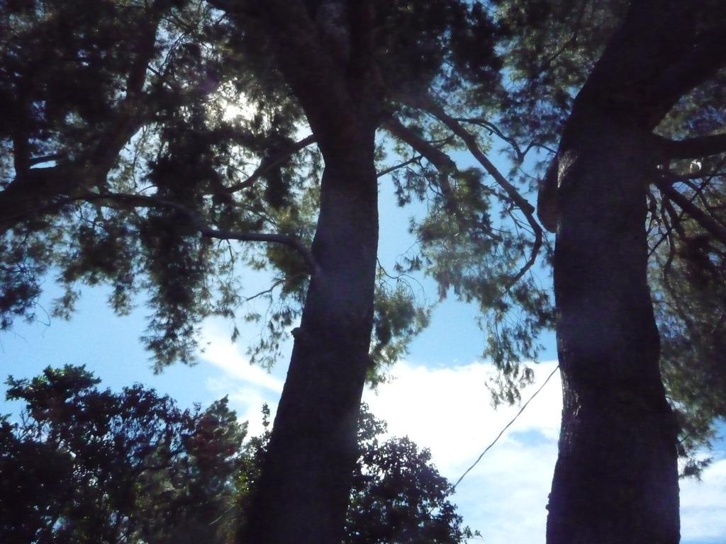 Woodland Hills Calabasas Guesthouses ลอสแอนเจลิส ภายนอก รูปภาพ